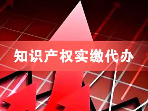 兖州知识产权实缴资本代办